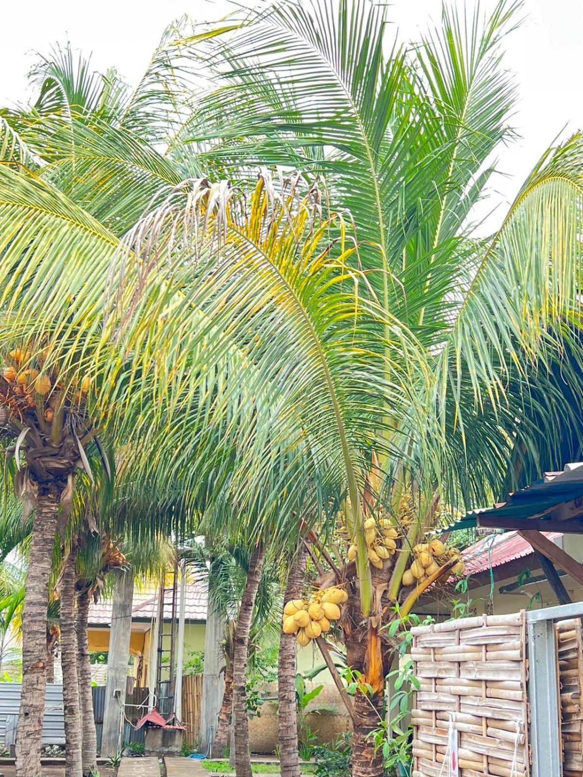 Bias Bungalows Gili Air Ngoại thất bức ảnh