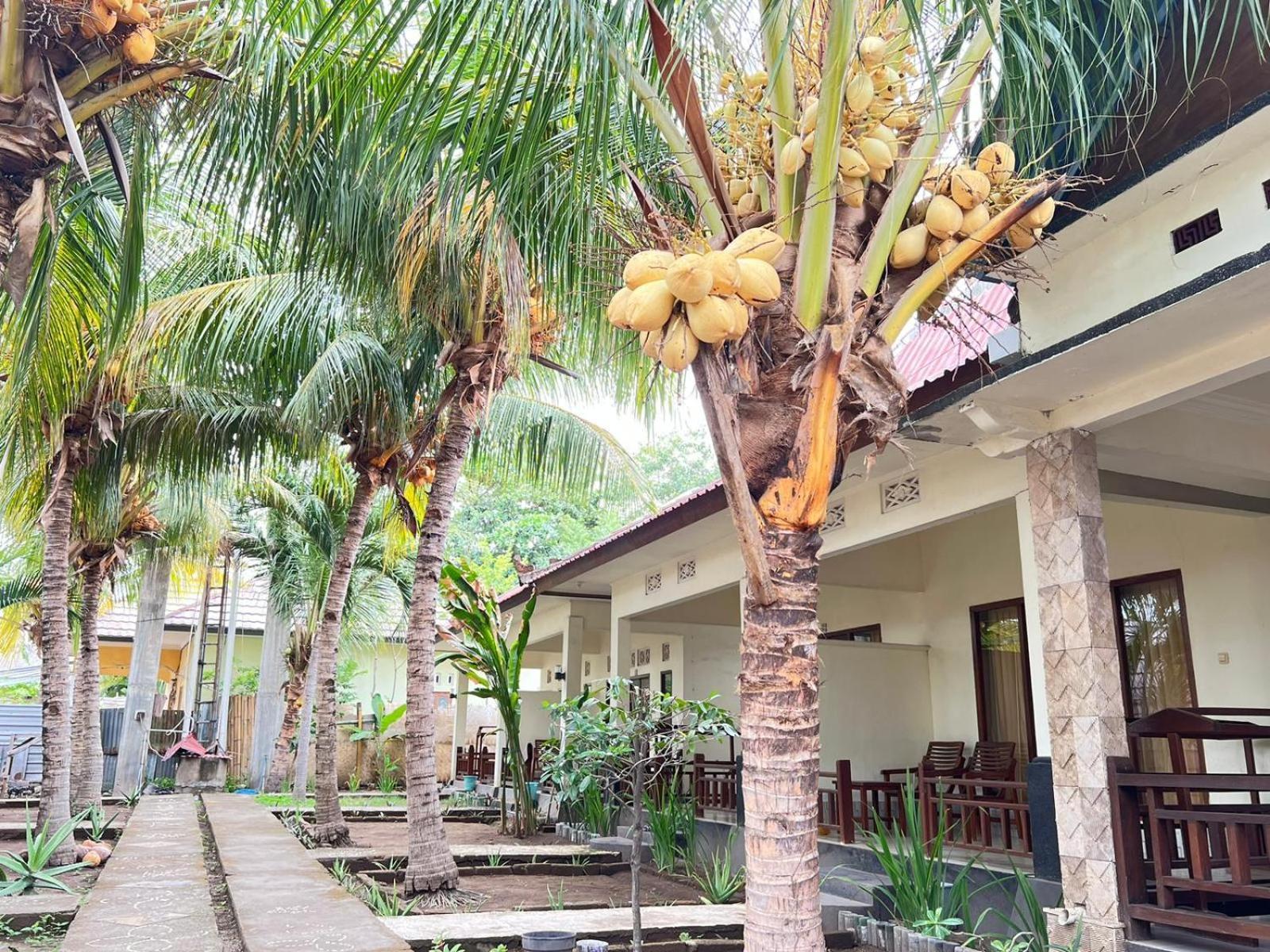 Bias Bungalows Gili Air Ngoại thất bức ảnh